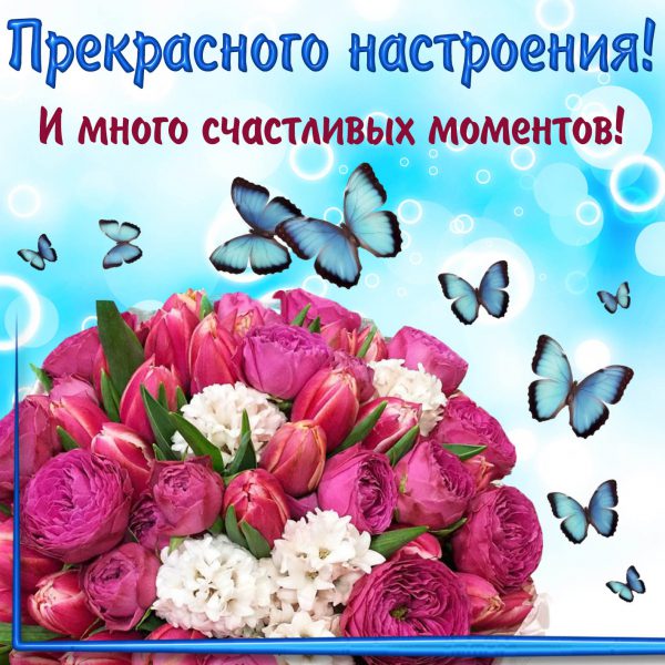 Открытки хорошего настроения