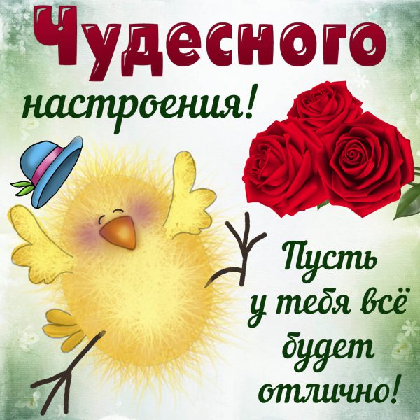 Открытки хорошего настроения