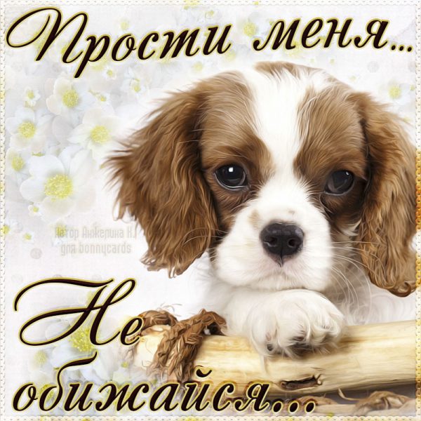 Открытки Прости меня