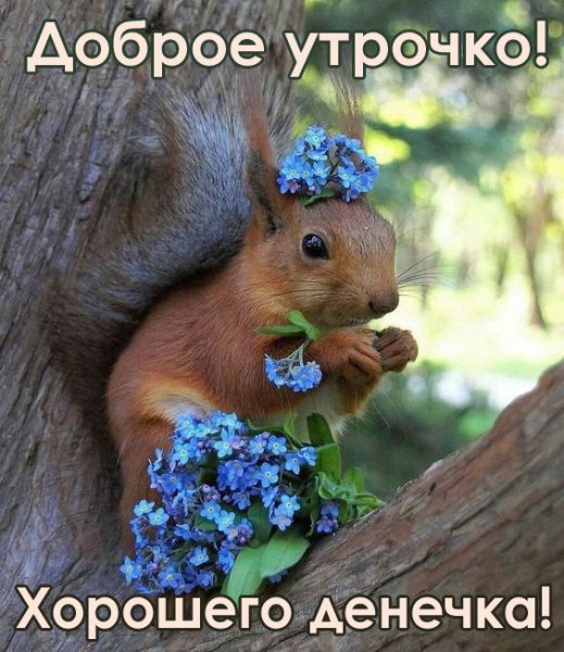 Картинки "С добрым утром и хорошего дня" (80 штук)