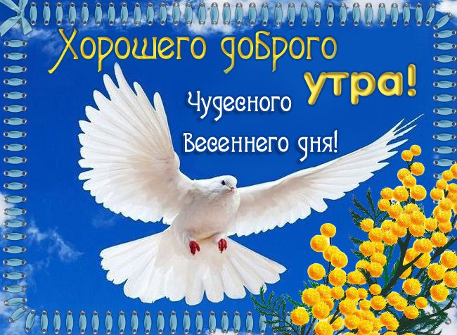 Картинки "С добрым утром и хорошего дня" (80 штук)