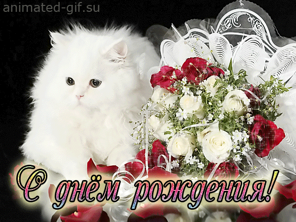  Анимационные картинки с днем рождения 