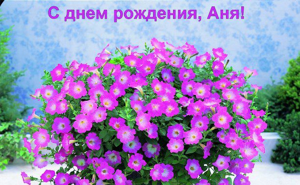  Аня с днем рождения картинки 