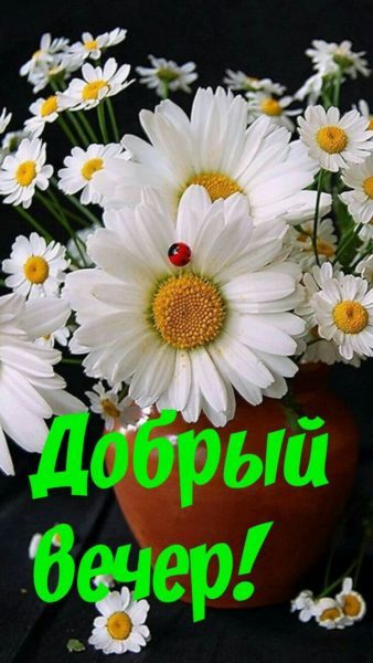  Доброе утро! 150 открыток с пожеланиями и цветами 