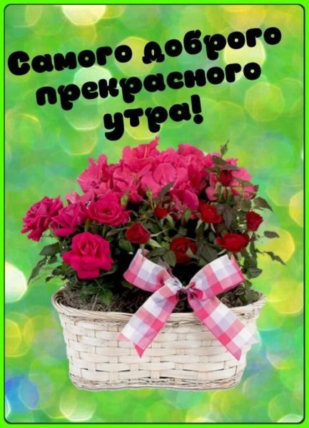  Доброе утро! 150 открыток с пожеланиями и цветами 