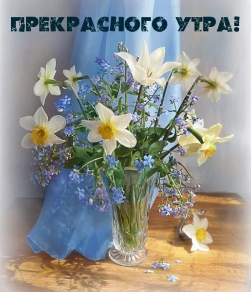  Доброе утро! 150 открыток с пожеланиями и цветами 