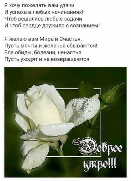  Доброе утро! 150 открыток с пожеланиями и цветами 