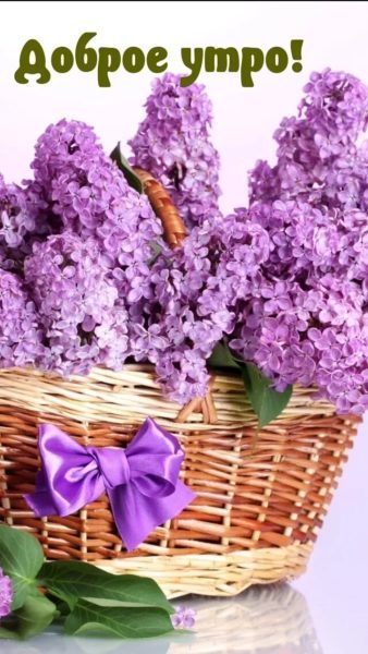 Доброе утро! 150 открыток с пожеланиями и цветами 