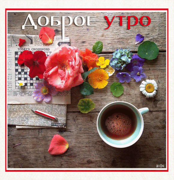  Доброе утро! 150 открыток с пожеланиями и цветами 