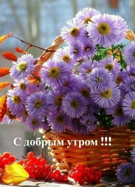  Доброе утро! 150 открыток с пожеланиями и цветами 