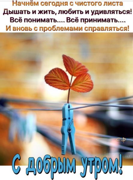  Доброе утро пятница: картинки 