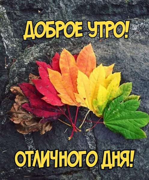  Доброе утро пятница: картинки 
