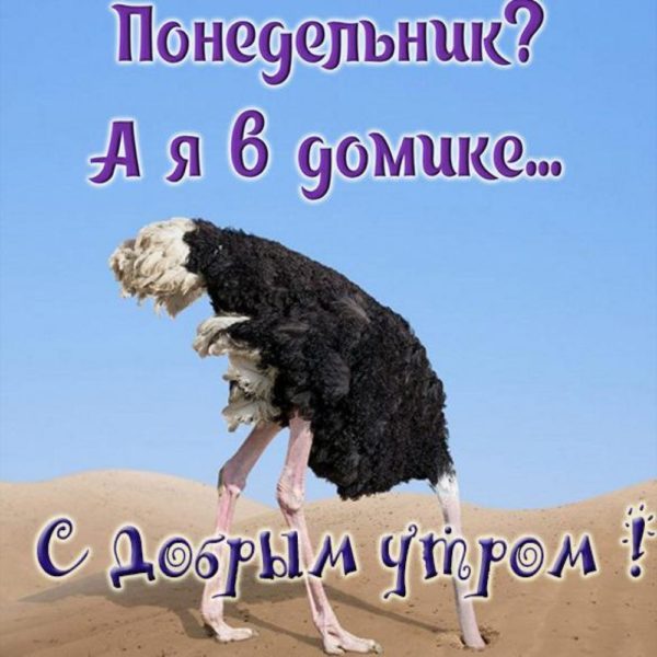  Хорошего понедельника! 200 добрых картинок 