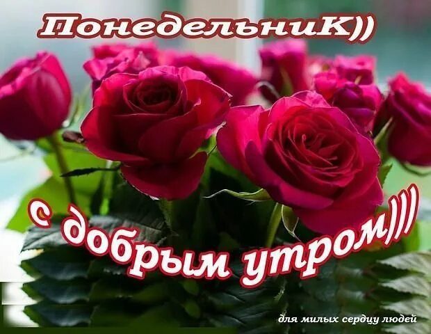  Хорошего понедельника! 200 добрых картинок 