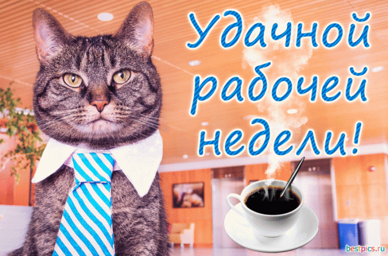  Хорошего понедельника! 200 добрых картинок 