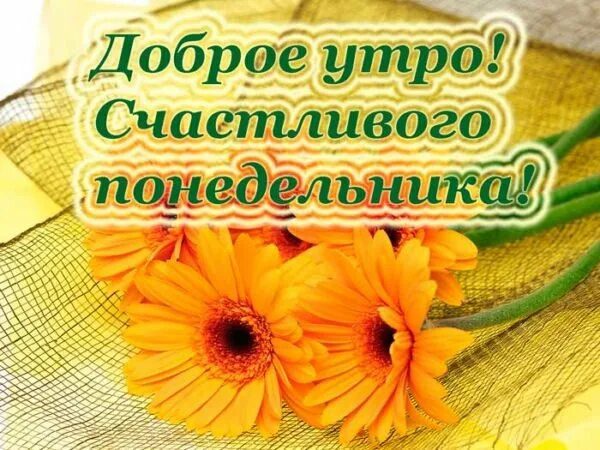  Хорошего понедельника! 200 добрых картинок 