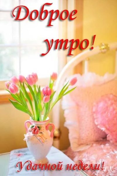  Хорошего понедельника! 200 добрых картинок 