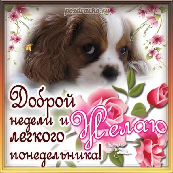  Хорошего понедельника! 200 добрых картинок 