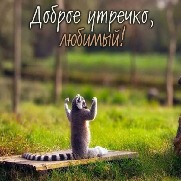 Хорошего понедельника! 200 добрых картинок 