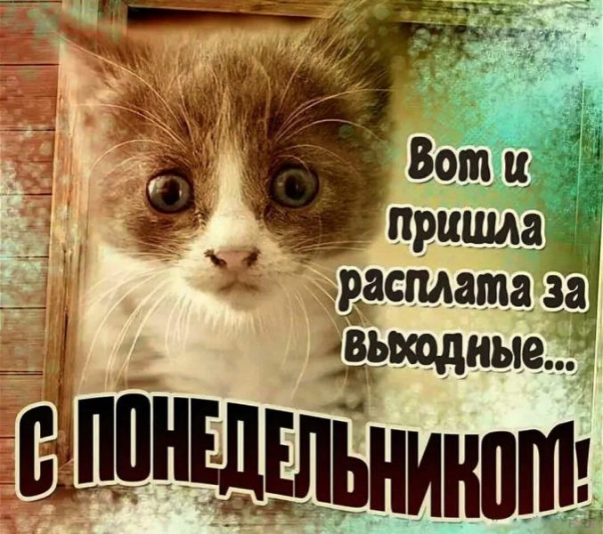  Хорошего понедельника! 200 добрых картинок 