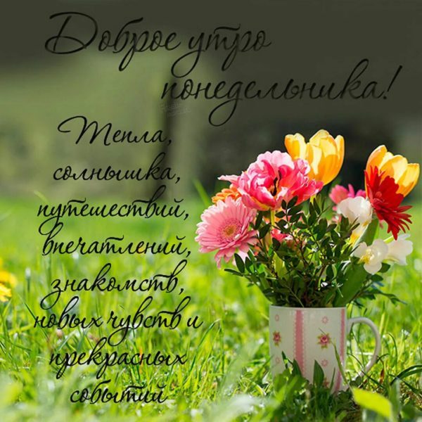  Хорошего понедельника! 200 добрых картинок 