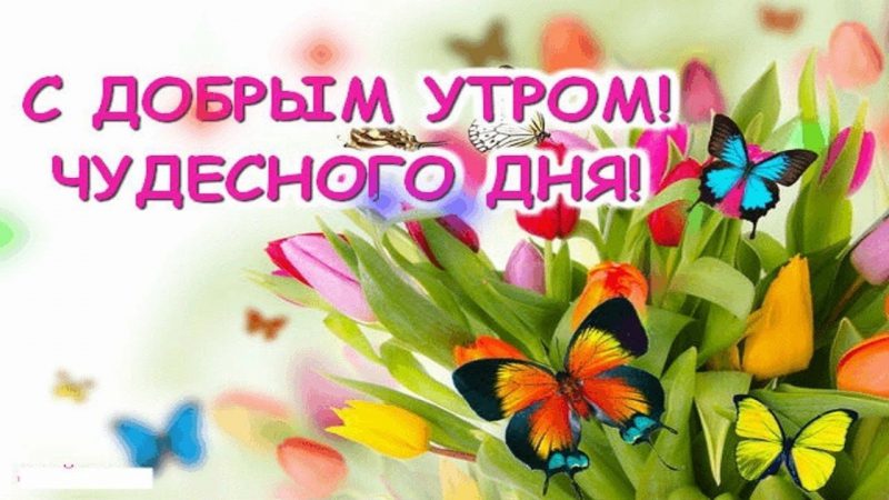  Картинки с добрым утром и позитивом 