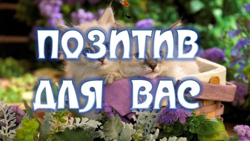  Картинки с добрым утром и позитивом 