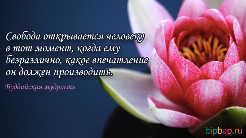  Картинки со смыслом о жизни с надписями 