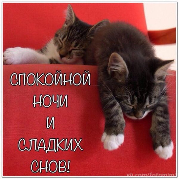  Картинки спокойной ночи, сладких снов 