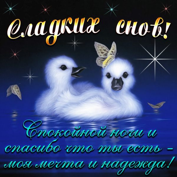  Картинки спокойной ночи, сладких снов 
