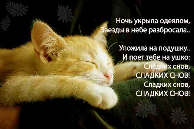  Картинки спокойной ночи, сладких снов 