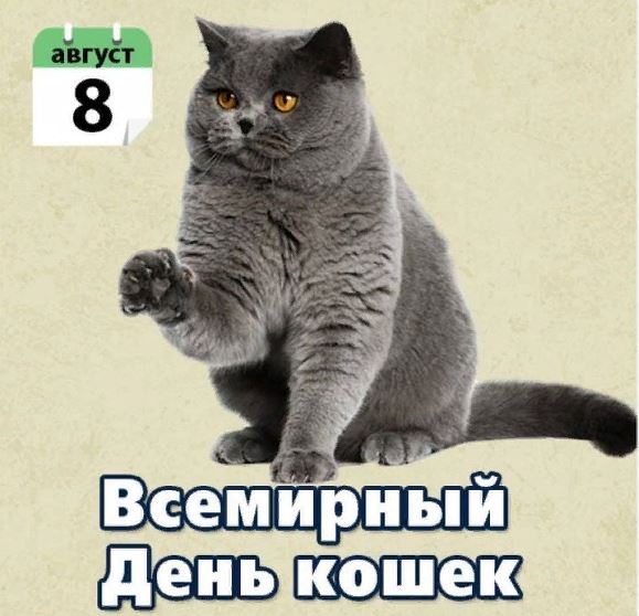Открытки и картинки с Днем Кошек