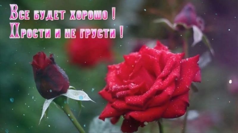  Пусть все будет хорошо! 100 картинок с поддержкой в трудную минуту 