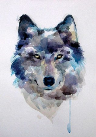  Рисунки акварелью для срисовки 