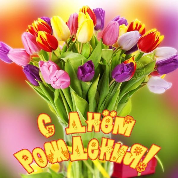  С днем рождения! 200 красивых открыток с букетами цветов 