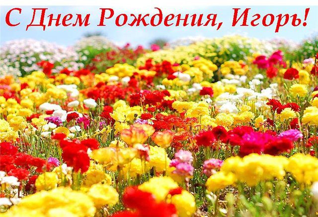 С днем рождения Игорь картинки 