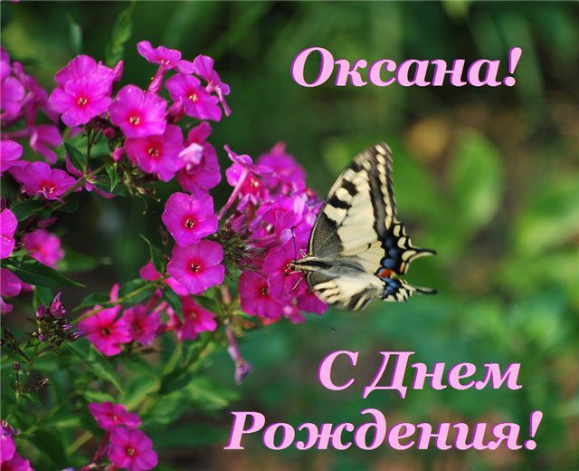  С днем рождения Оксана картинки 