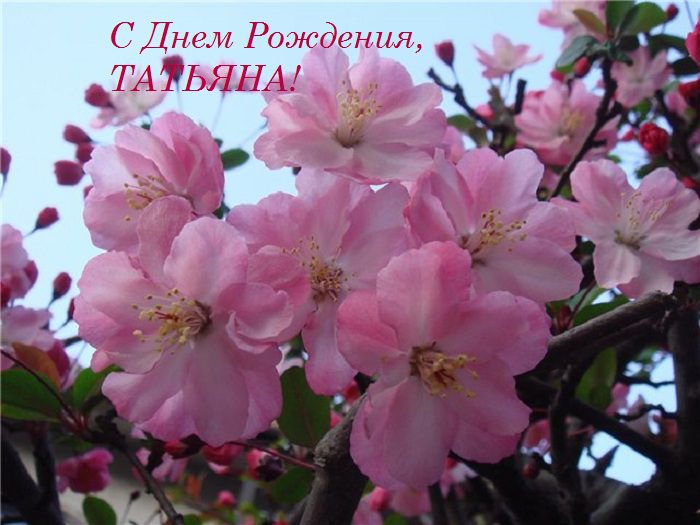  С днем рождения Татьяна картинки 