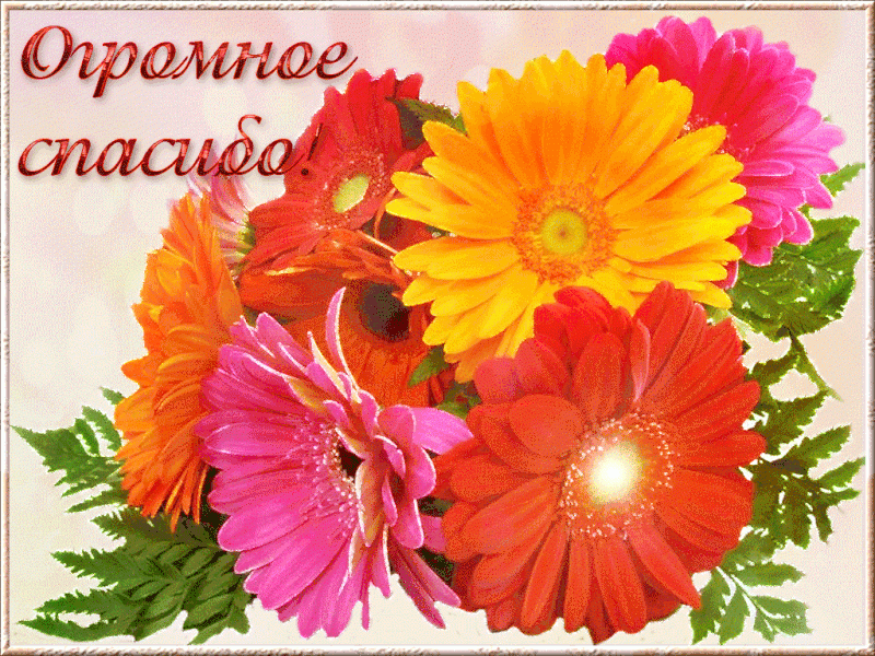  Спасибо большое! 100 красивых картинок 