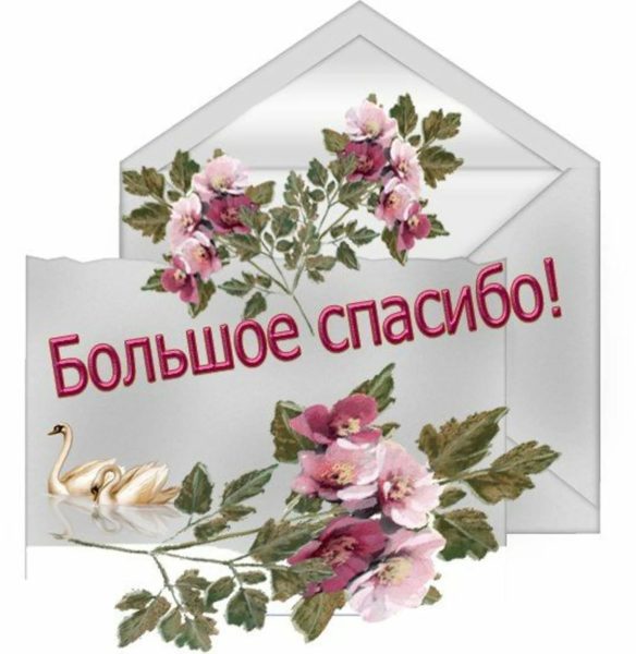  Спасибо большое! 100 красивых картинок 