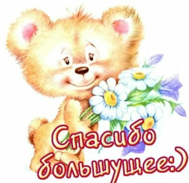 Спасибо большое! 100 красивых картинок 
