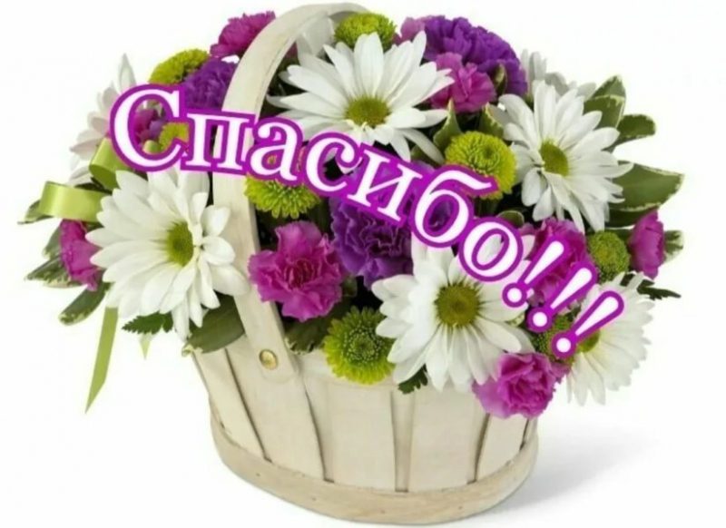  Спасибо большое! 100 красивых картинок 