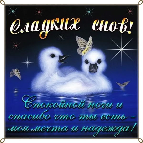  Спокойной ночи! 135 красивых картинок для женщин 