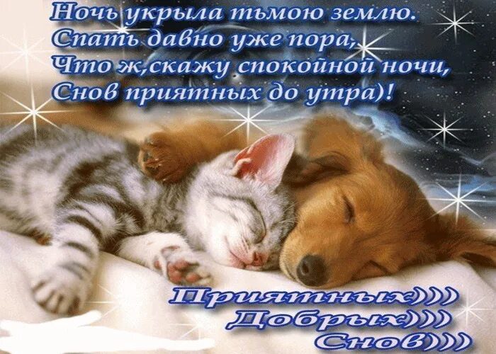  Спокойной ночи! 135 красивых картинок для женщин 