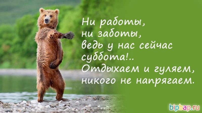  Ура пятница – Прикольные картинки 