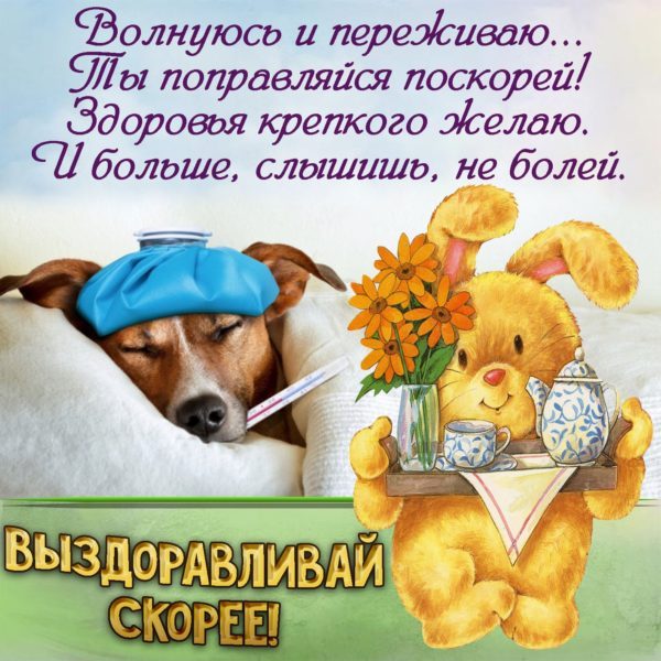  Выздоравливай скорее – прикольные картинки 