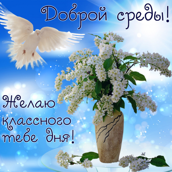 Открытки среда