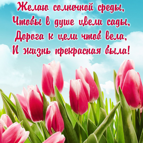 Открытки среда