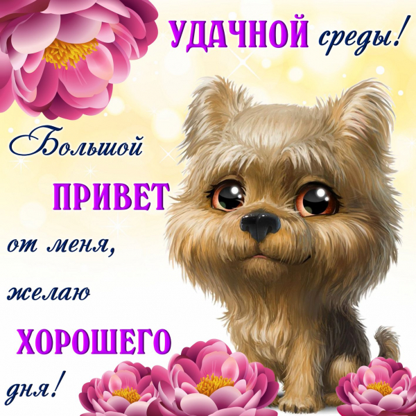 Открытки среда